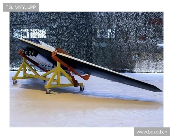 琼阿梅尼的防守与调度上限,究竟能达到何种高度? 琼阿梅尼的防守与调度上限,究竟能达到何种高度?